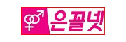 은꼴넷