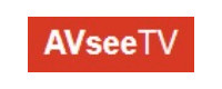 AVsee